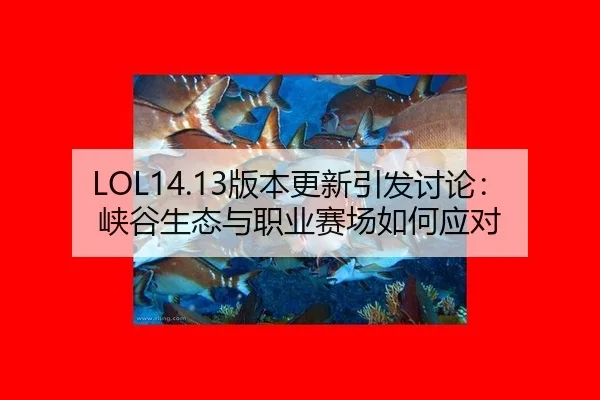 LOL14.13版本更新引发讨论：峡谷生态与职业赛场如何应对